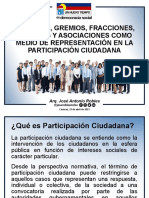 Sectores, Gremios, Fracciones, Cámaras y Asociaciones Como Medio de Representación en La Participación Ciudadana