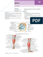 Ankle and Leg Injuries: John E. Femino and Annunziato Amendola