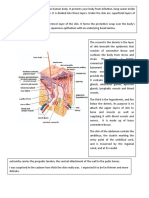 Skin 3 Layers
