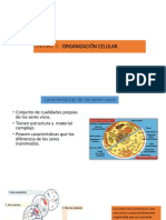 Unidad 2 Biologia Ambiental - para Prueba