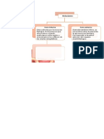 Amigdalas Relaciones-cara Externa e Interna