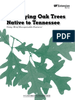 Identifying Oak Trees Identifying Oak Trees Native To Tennessee Native To Tennessee