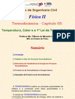 2020 - Capítulo 05 - Temperatura, Calor e A 1 Lei Da Termodinâmica