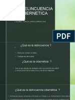 La Delincuencia Civernetica