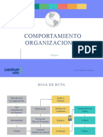 Comp Organizacional Modulo06 2