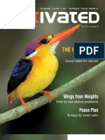 The Kingfisher Effect: Wings From Weights Peace Plan