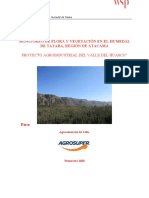 Informe Flora Humedal de Tatara 2020.