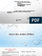 Clase Ciclo Del Acido Cítrico Noviembre 2021