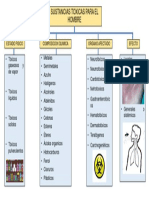 Organizador Visual SUSTANCIAS TOXICAS PARA EL HOMBRE