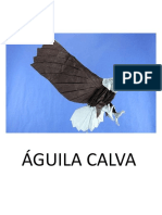 38 Águila Calva-Quentin Trollip