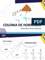 Colonia de Hormigas 1