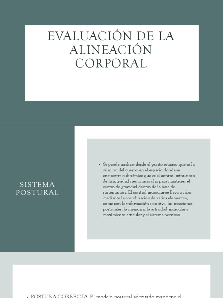 Evaluación de la Postura Corporal | PDF | La columna vertebral | Percepción