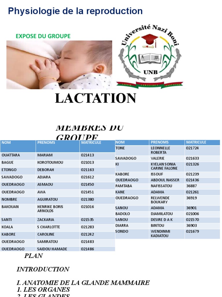 04 Lactation, PDF, Lait maternel humain
