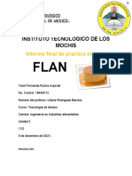 Informe Final Practica Flan