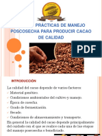 Tecnología y Buenas Practicas de Cosecha, Fermentación