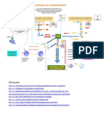 Inmunologia Elsistemadecomplemento 140715214050 Phpapp01