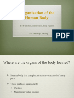 Organization of Human Body