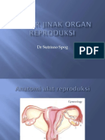 1. Tumor Jinak Organ Reproduksi