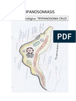 Tripanosomiasis y Leishmaniasis