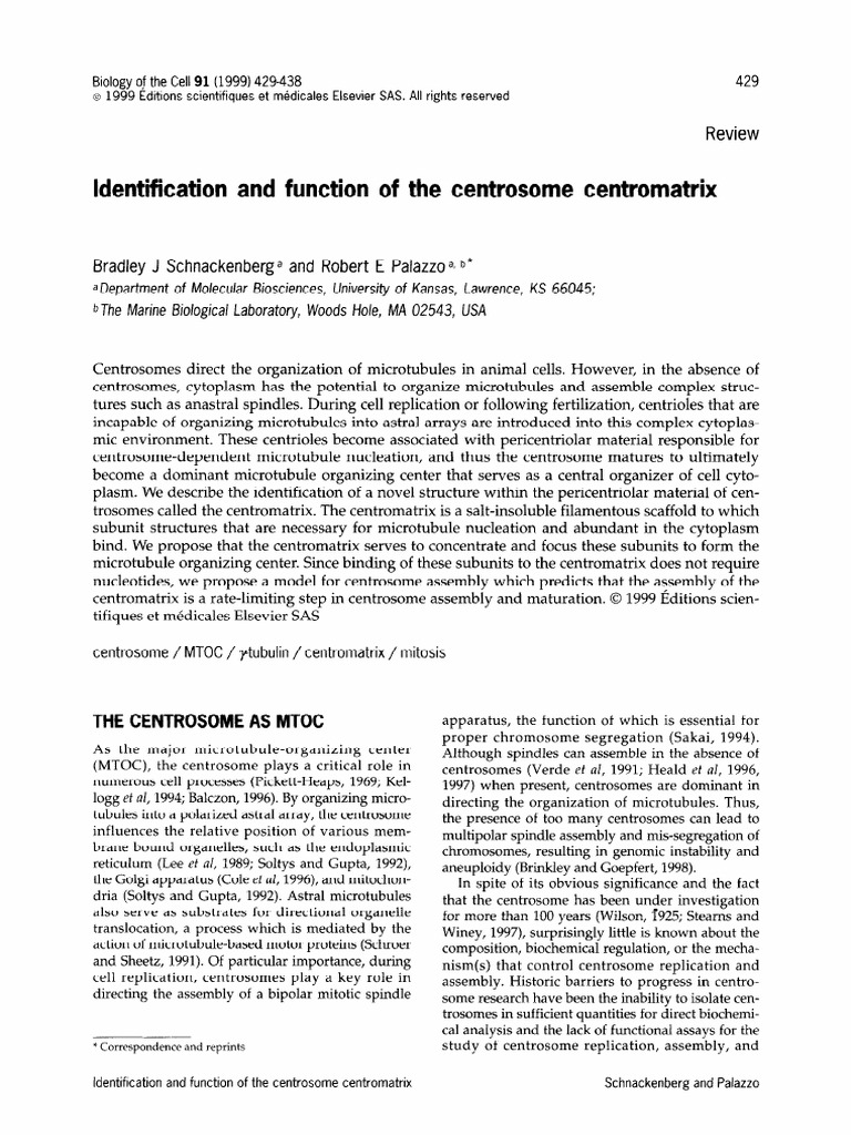 Centrosome Centromatrix Function Explained | PDF | Microtubule | Cell ...