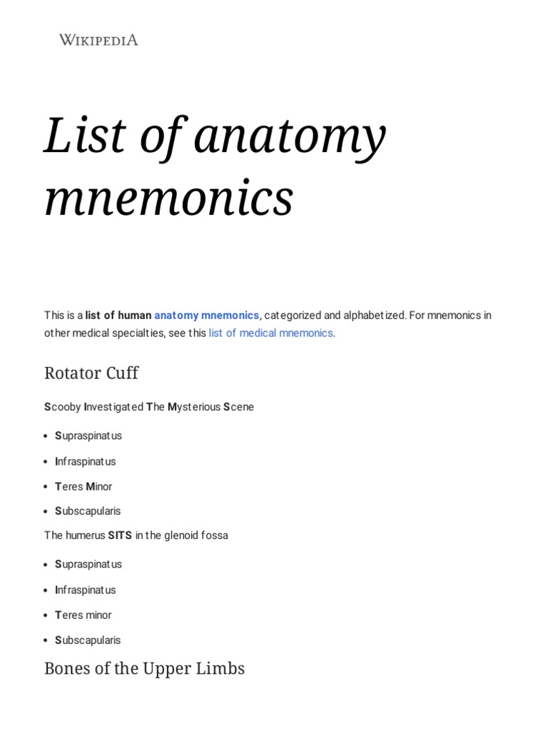 List of Anatomy Mnemonics Wikipedia PDF Vertebral Column Lung