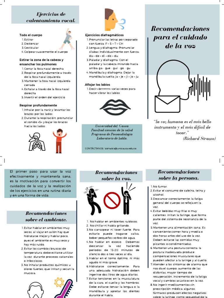 Recomendaciones para El Cuidado de La Voz | PDF