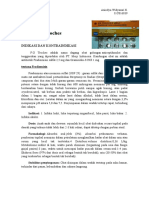 FG Troches: Indikasi, Kontraindikasi, Efek Samping, Dosis dan Informasi Keamanan