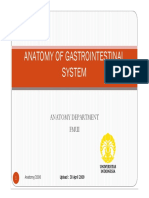 6 Anatomi Gastro