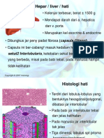 GIT - Kuslestari - Histologi Sistem Digestivus3