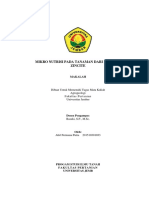 Abil Permana Putra - 201510301033 - Mineral Zincite