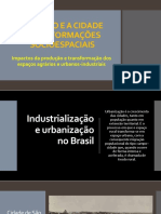 IMPACTOS DA PRODUÇÃO E TRANSFORMAÇÃO DOS ESPAÇOS AGRÁRIOS E URBANOS-INDUSTRIAIS