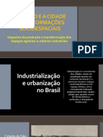 Impactos Da Produção e Transformação Dos Espaços Agrários e Urbanos-Industriais