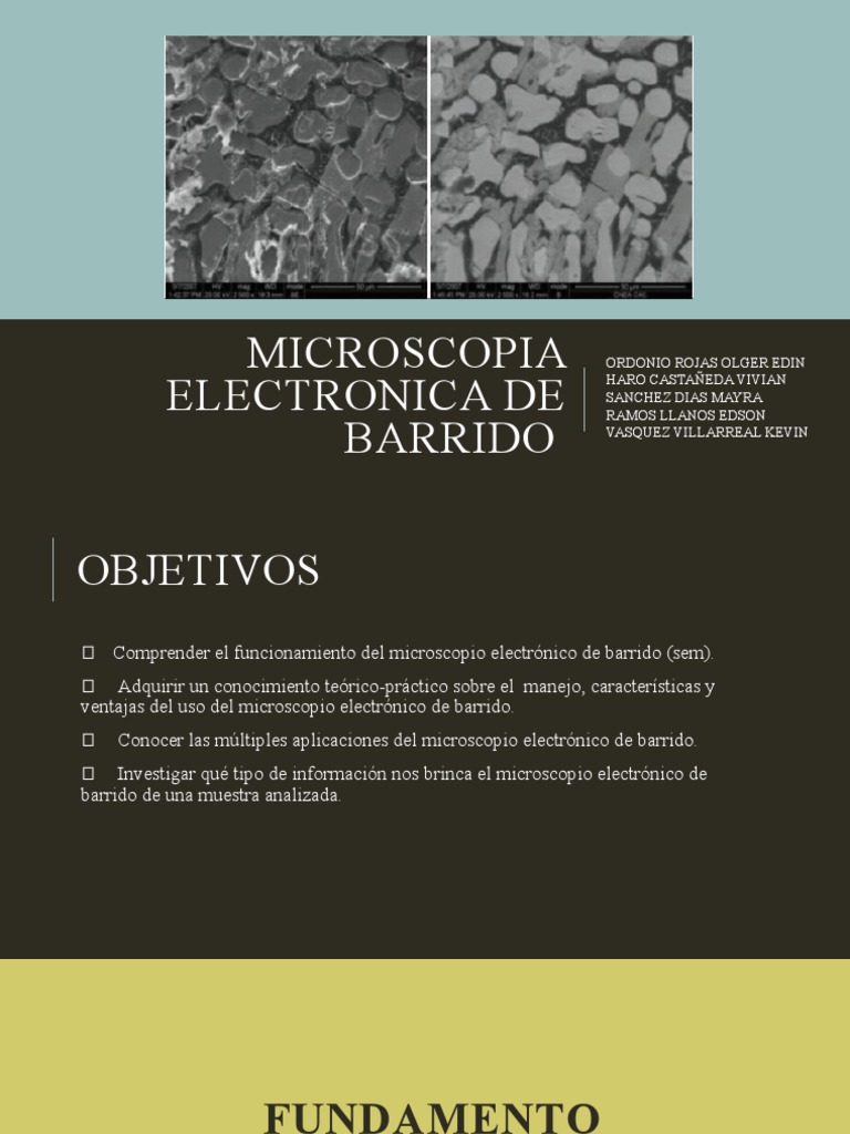 Microscopia Electronica De Barrido Pdf Microscópio Electrónico
