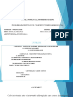 Model Prezentarea PowerPoint-1