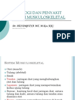 12 Fungsi Dan Penyakit Sistem Muskuloskeletal