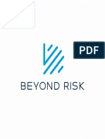 Beyond Risk Logo