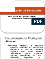 Recuperação de Pastagens