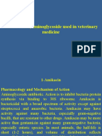 Antibacterial, Aminoglycoside Used in Veterinary Medicine