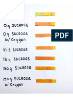 PH Values of Each Set Up (Day 0 - Day 14)