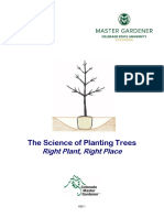 The Science of Planting Trees Right Plant, Right Place