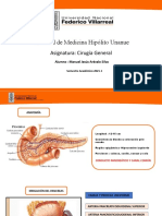 Anatomía de Pancreas y Bazo