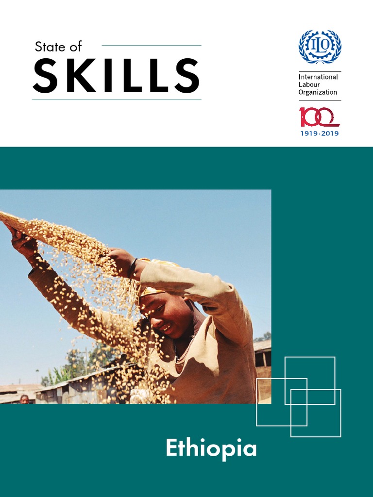 state-of-skills-in-ethiopia-pdf-employment-vocational-education