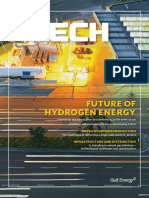 Future of Hydrogen