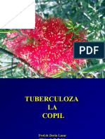 Tuberculoza La Copil-Pleureziile-Insf - Resp