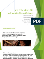 Cultura-triburilor-din-Indonezia-si-Noua-Guinee (1) .1610393957271
