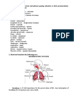 Respiratory System