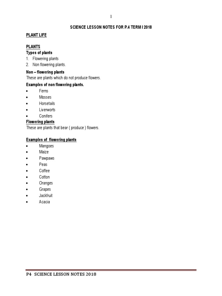 P4 Science Notes: Plant Life Overview | PDF | Leaf | Seed