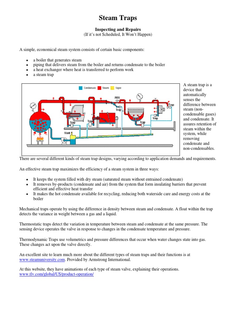Steam Trap Inspection and Testing Guide | PDF | Ultrasound | Boiler