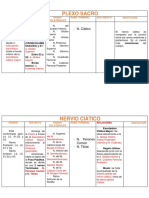 Plexo Sacro - Quadro Resumo