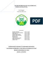 Laporan Praktikum Histologi Anatomi Dan Fisiologi Manusia